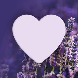 You are Loved icon